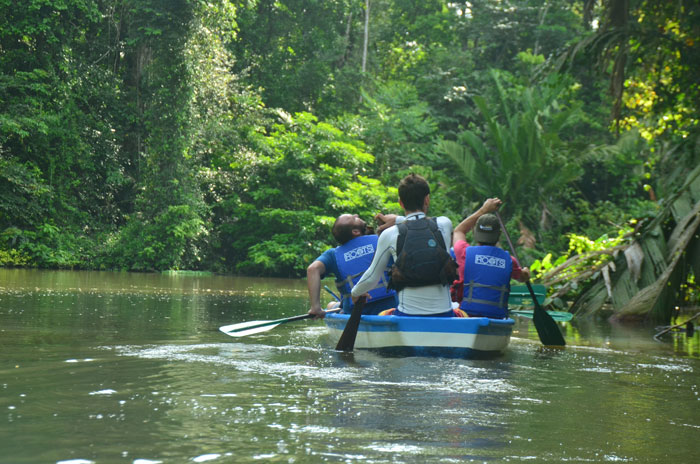 foto tortuguero tour bote